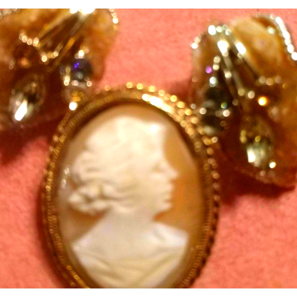 Beautiful~Cameo Brooch AND Earring Lot